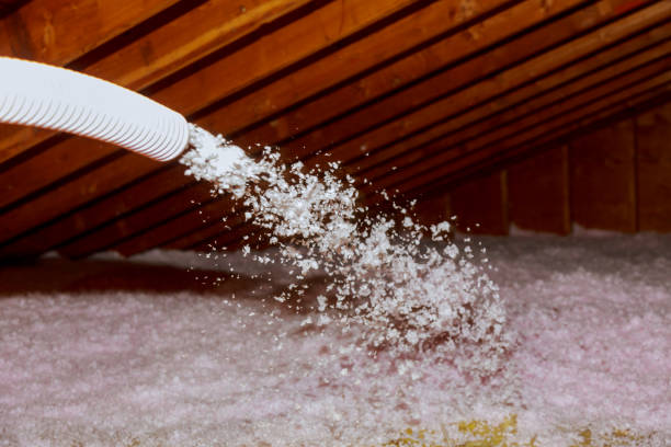 Best Commercial Insulation in Ardia, CA