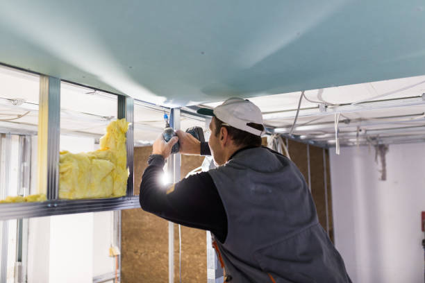 Types of Insulation We Offer in Arcadia, CA