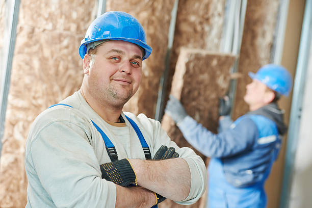 Best Eco-Friendly Insulation in Ardia, CA