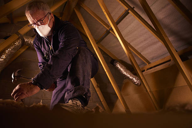 Best Energy Efficiency Insulation in Ardia, CA
