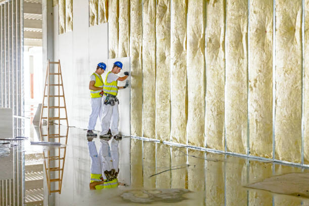 Best Residential Insulation in Ardia, CA